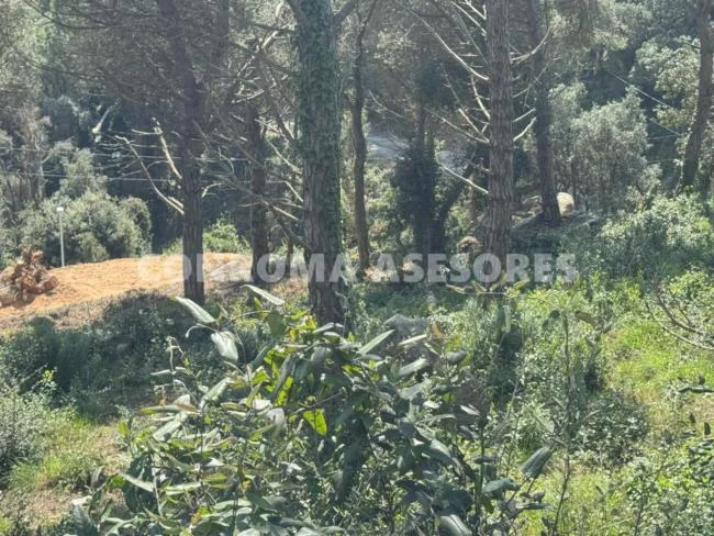 Buildable 800 m² plot near Lloret