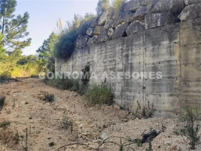 Buildable land in Riudarenes, 1669 m²