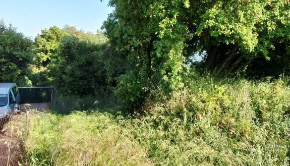 Parcela edificable de 1.100 m² en Can Massuet