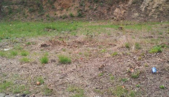 Two adjoining urban plots with development potential