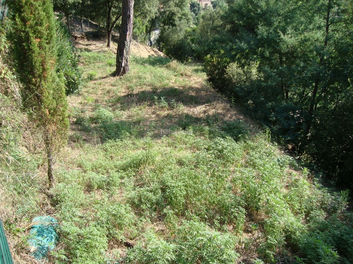 Parcela de 1.000 m² en Can Domenech