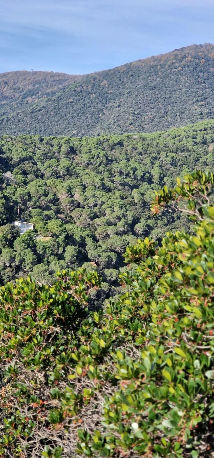 Rural land with 44,000 m² plot