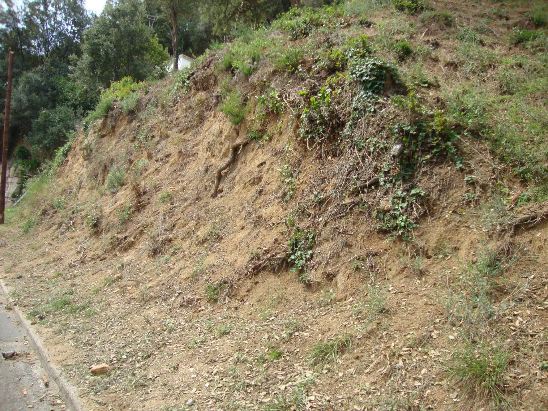 Parcela urbana en Can Palau, 1.059 m²