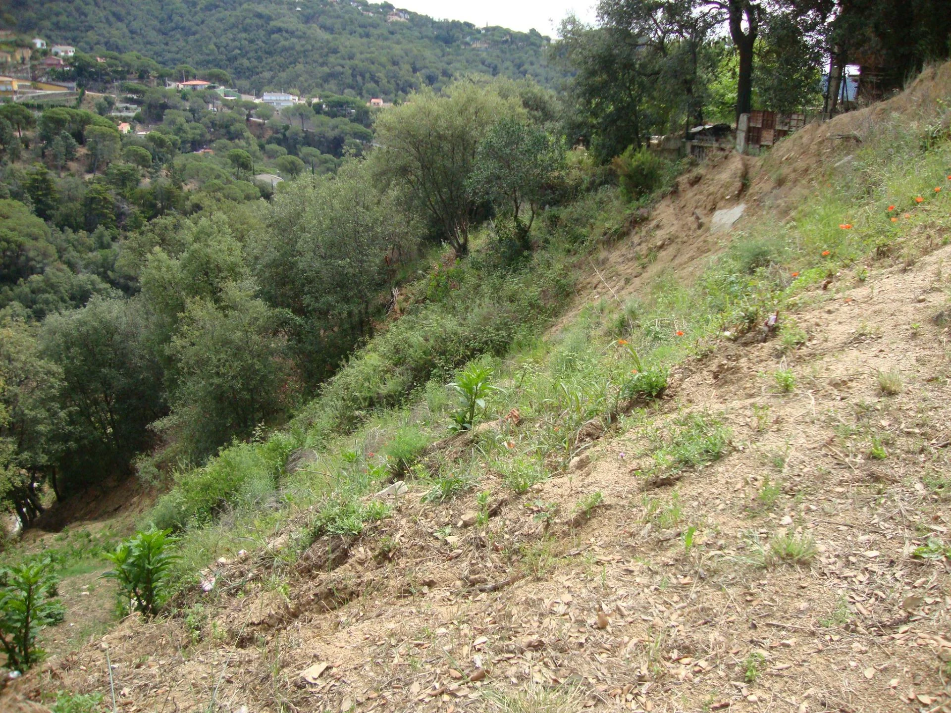 Parcela urbana en Can Palau, 1008 m²