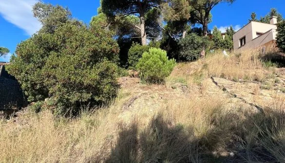 Urban plot in Mas Mora, 367 m²