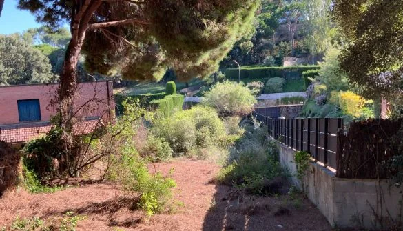 Rocaferrera plot near town centre