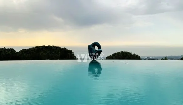 Luxury villa with private infinity pool
