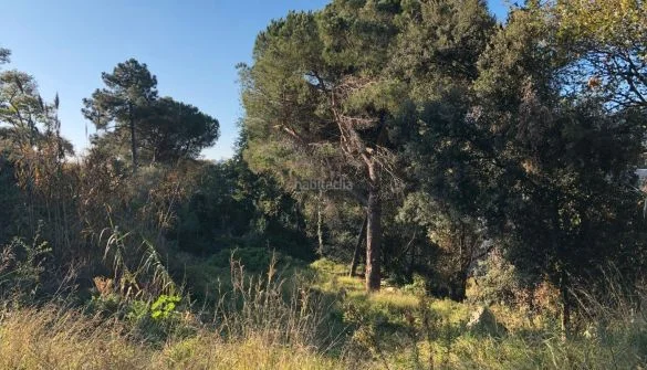 Cabrils development plots, 290 m² each