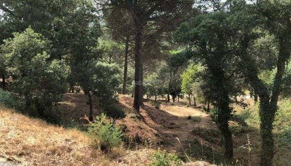 Parcela de 803 m² cerca de Tordera