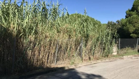 Large plot for detached house