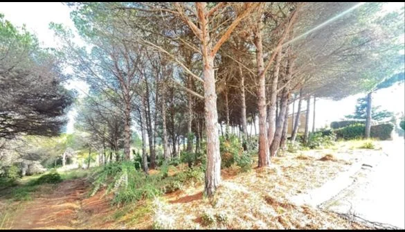 Parcela urbana con vistas al mar y proyecto de 400 m²