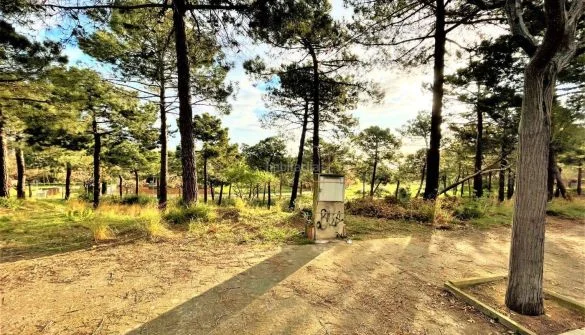 Serviced 800 m² plot near beach
