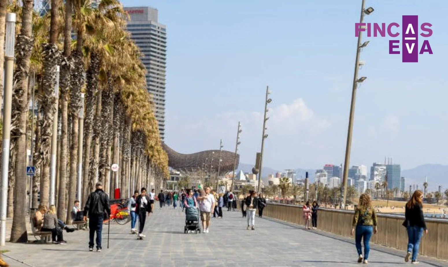 Operating Barceloneta restaurant investment