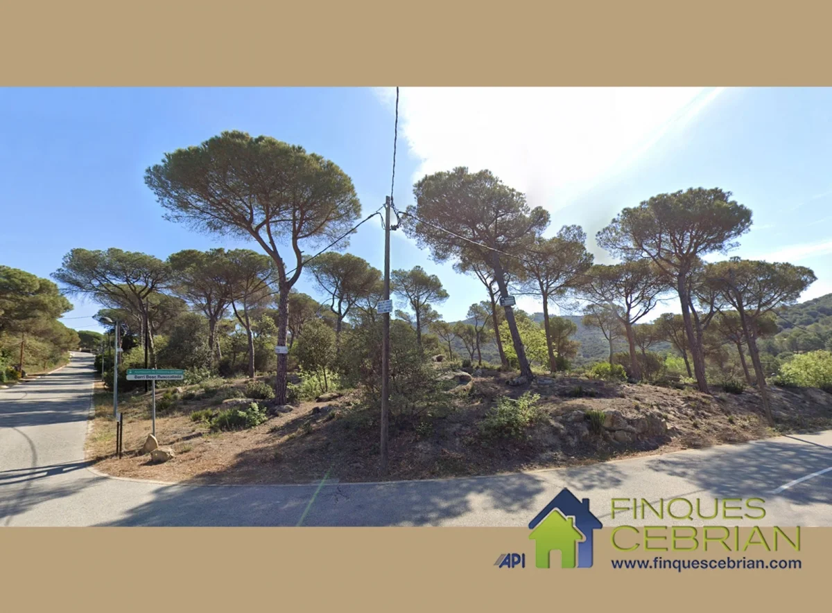 Gran parcela suroeste con proyecto de vivienda
