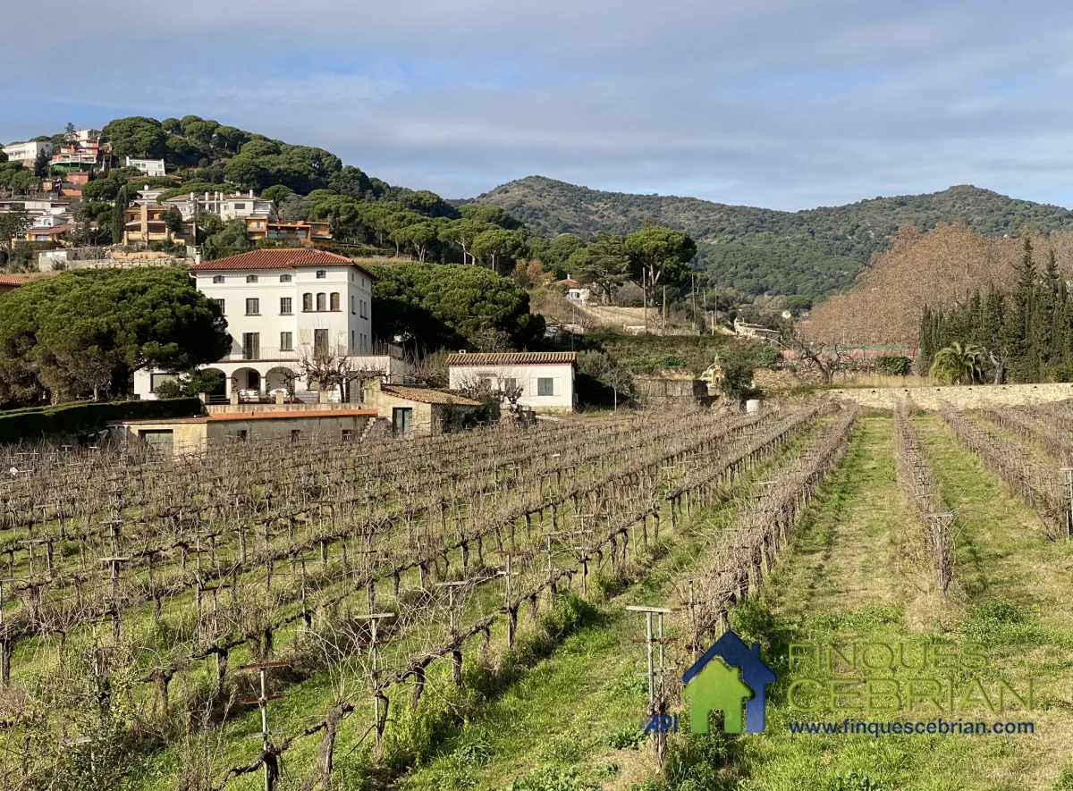 Historic Alella estate with vineyards
