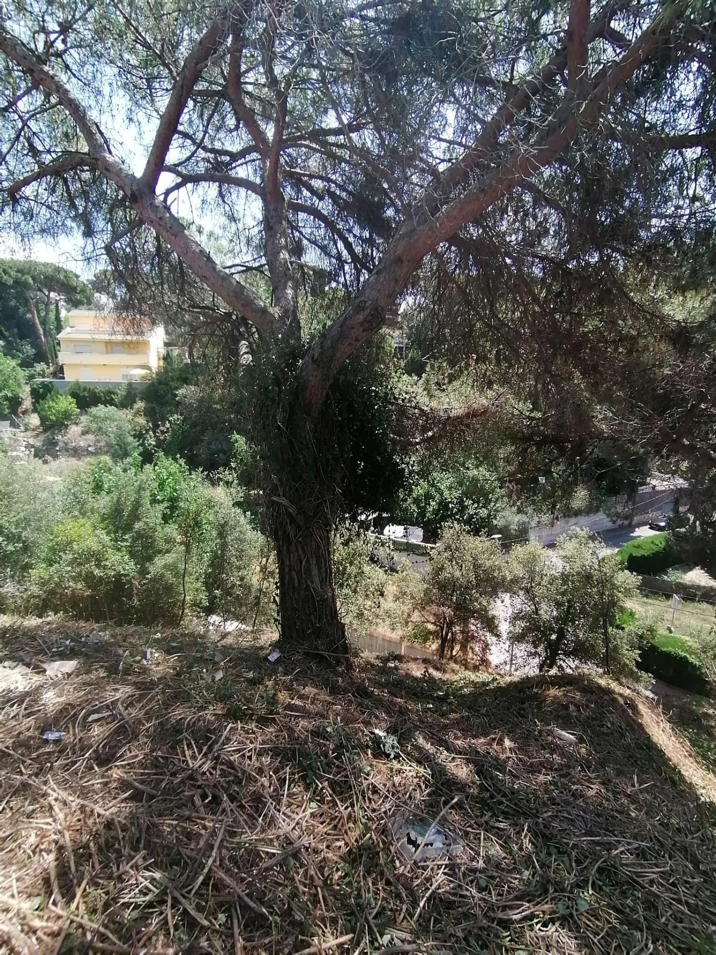 Parcela urbana en Can Massuet, 501 m²