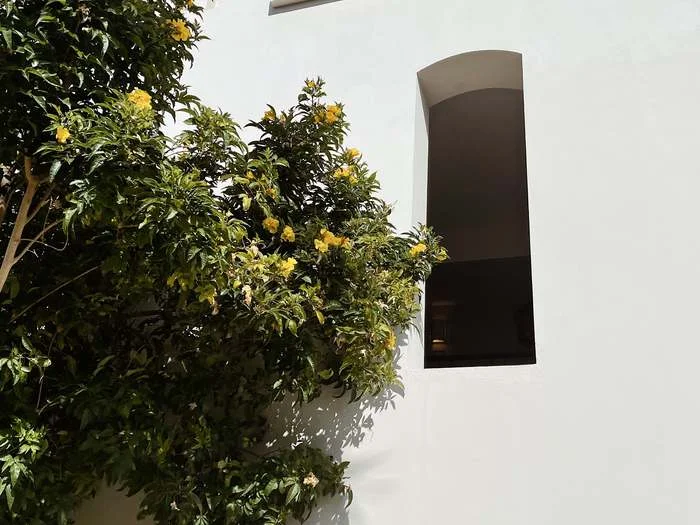 Sitges property portfolio for sale