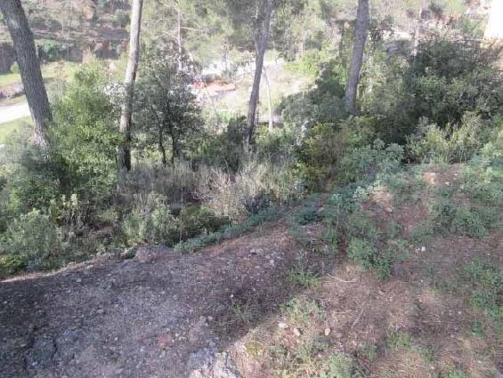 Parcela urbana de 839 m² junto a naturaleza