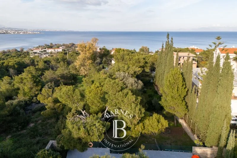 Buildable Chamolia plot, 985 m²