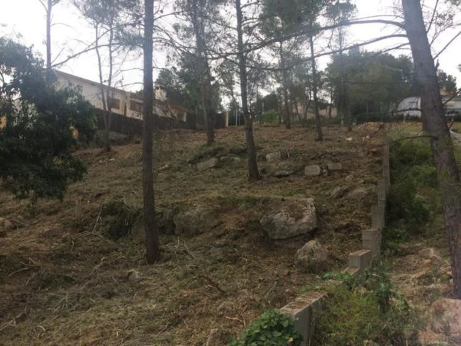 Solar despejado y en pendiente cerca de Sant Sadurní