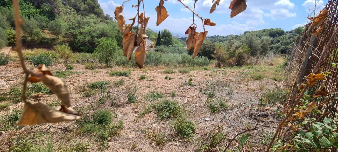 Terreno urbano en Castellar, 452 m²