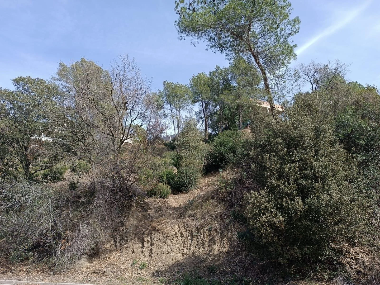 Urban plot in Can Vinyals, 803 m²