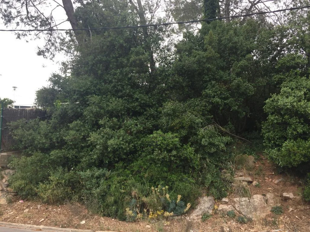 Urban plot with open mountain views