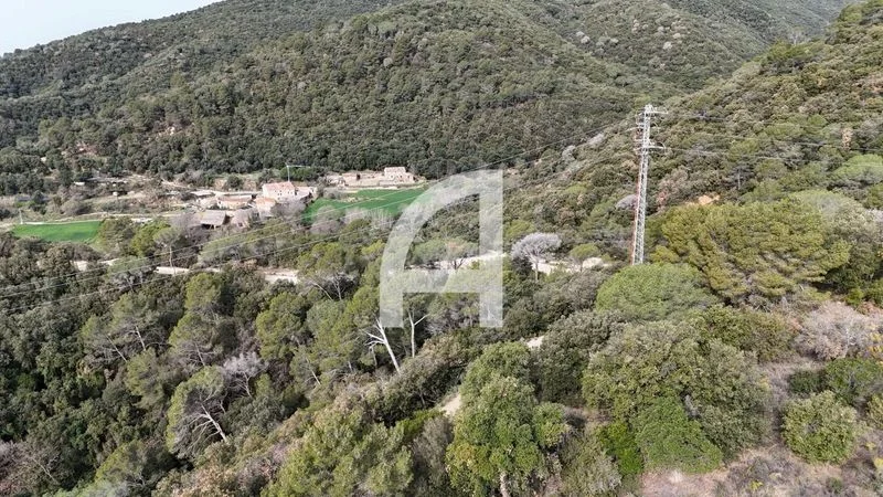 Masía para rehabilitar con 16 hectáreas