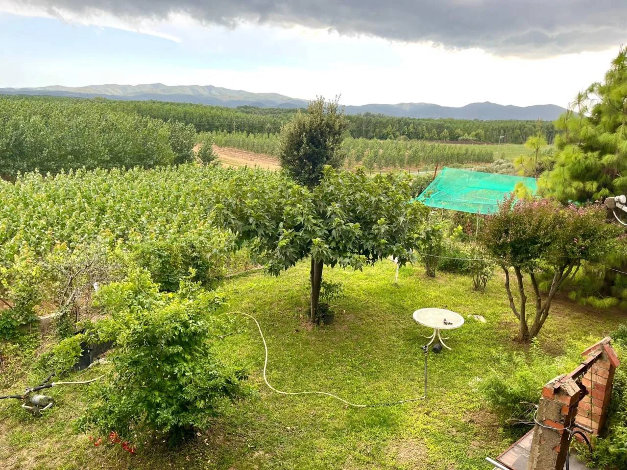 Finca en Cervià con parcela productiva de 3.241 m²