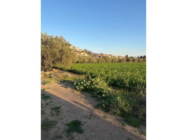 Caldes land with private water resources