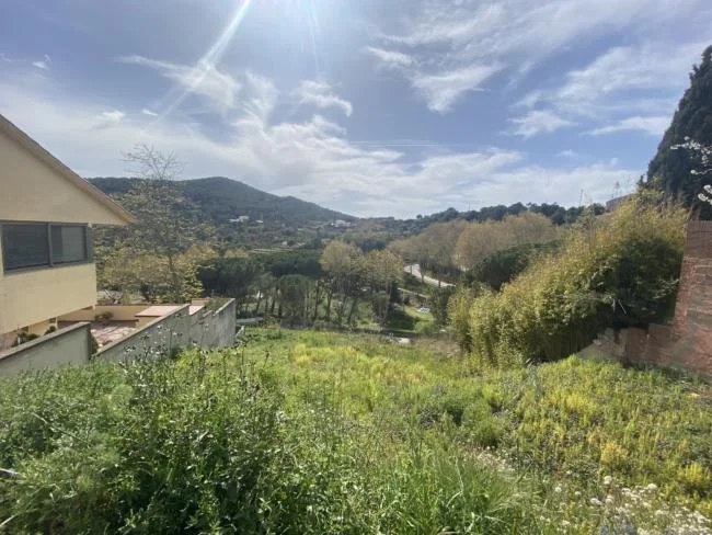Terreno urbanizado de 1.200 m²