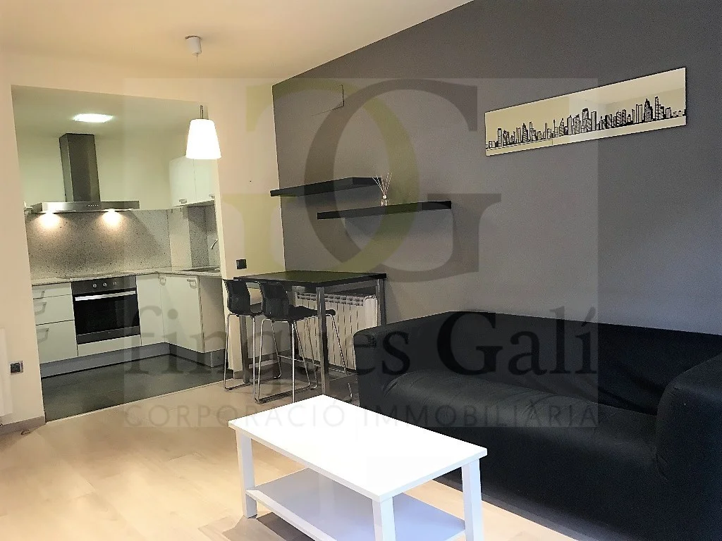 Piso alquilado en Manresa con ingresos