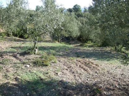 Terreno de 4 hectáreas con riego en Castellbisbal
