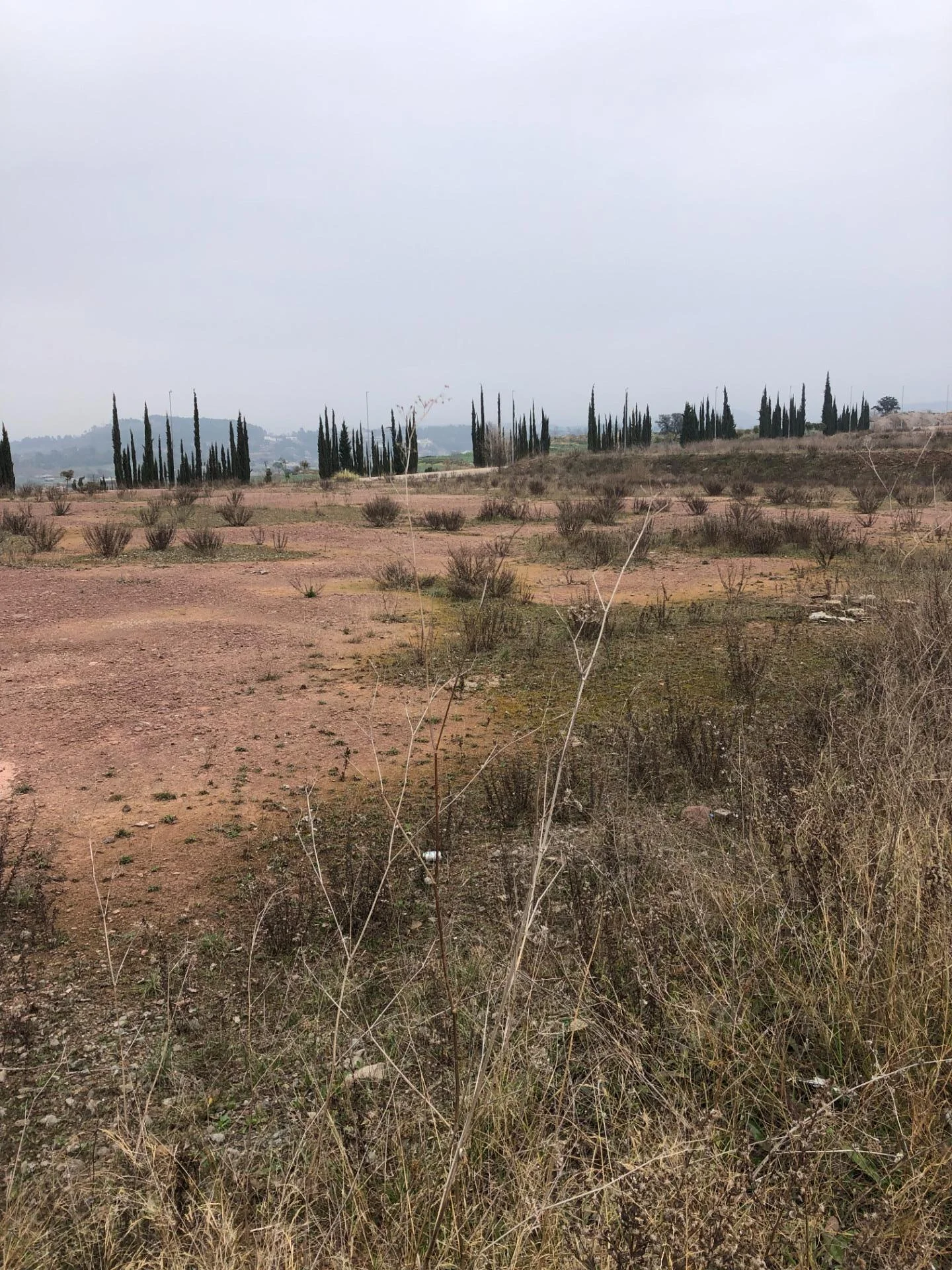 Industrial plot in Sant Fruitós, 7,166 m²