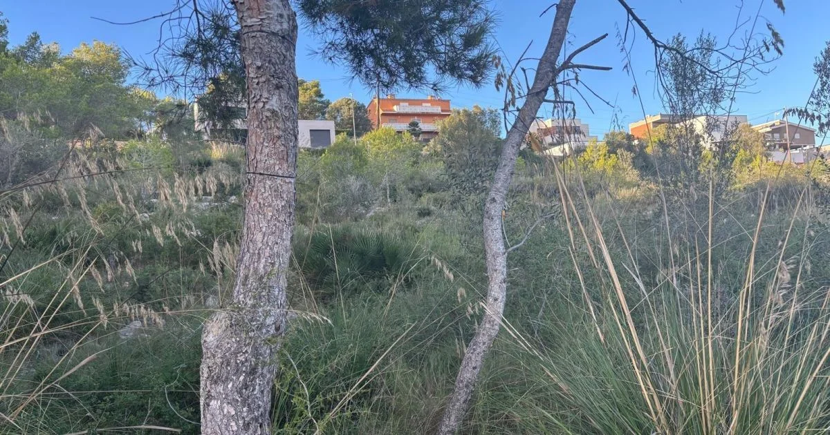 Two buildable plots with mountain views