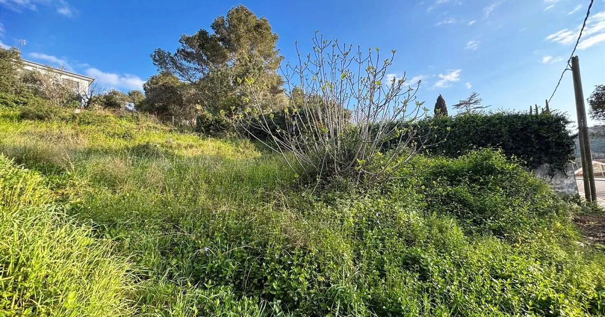 Urban plot in Canyelles, 594 m²