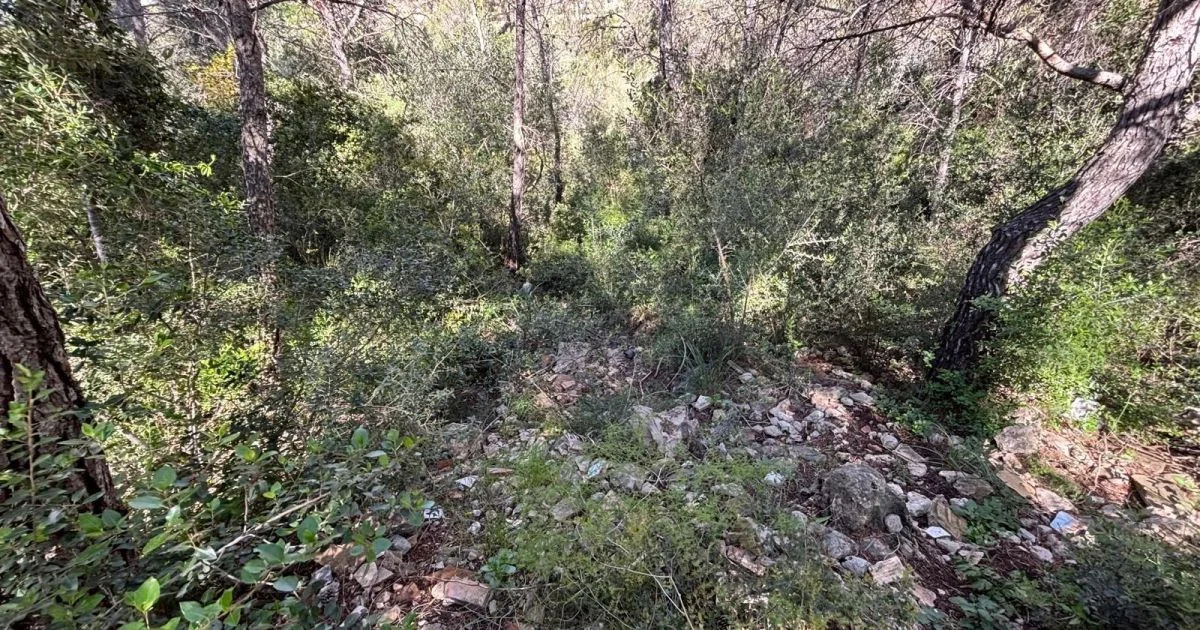 493 m² plot near town centre