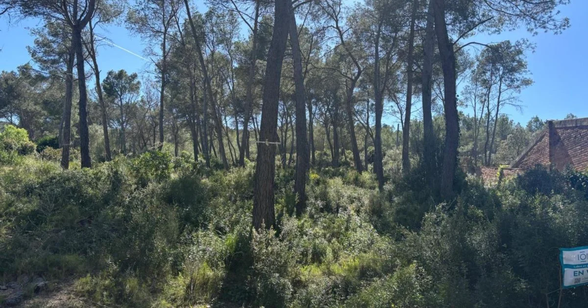 Les Colines plot with open views