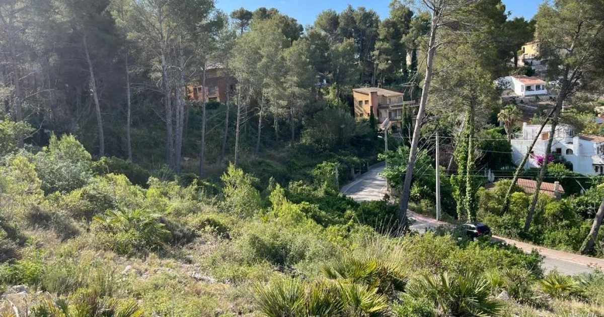 Urban plot in Mas Mestre, 800 m²