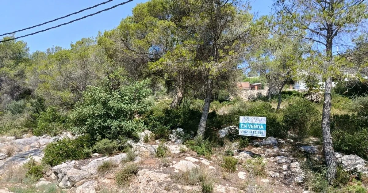 Urban land in Valles Altos