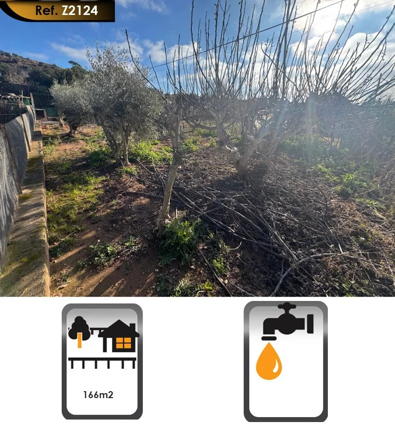 Developable Manresa plot with water access