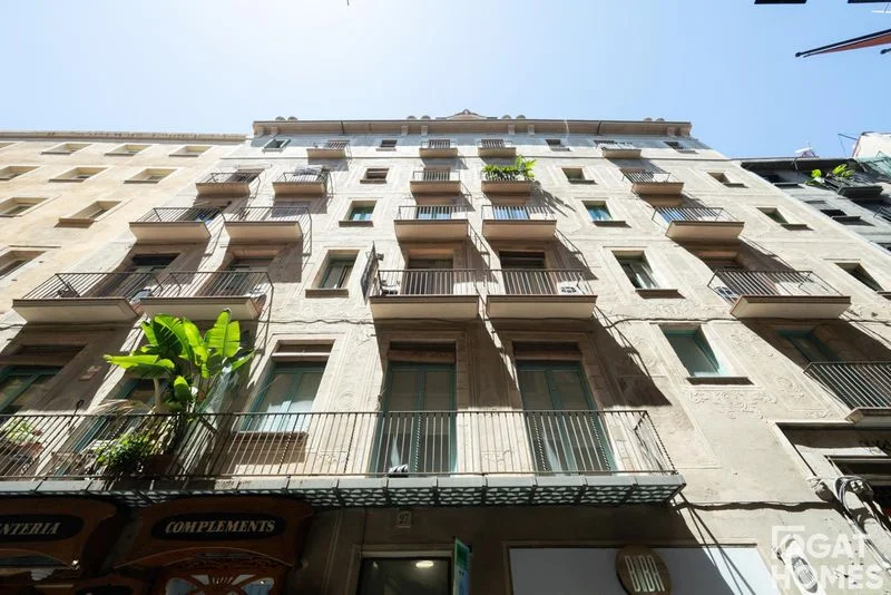 Barcelona flat with three bedrooms