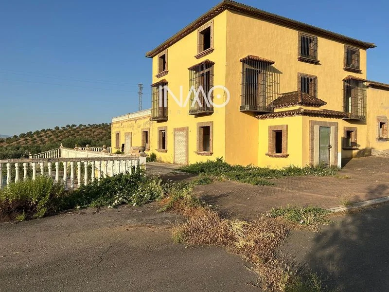 Finca de olivar de riego con potencial turístico