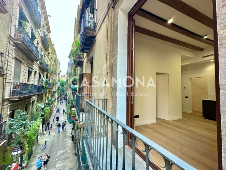 Renovated two-bedroom flat in El Born
