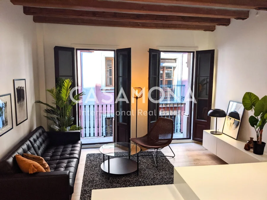 Gothic Quarter apartment, two bedrooms