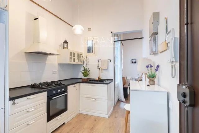 Apartamento con dos terrazas en El Born