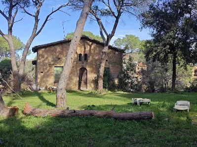 Chalet para reformar en gran parcela de La Floresta