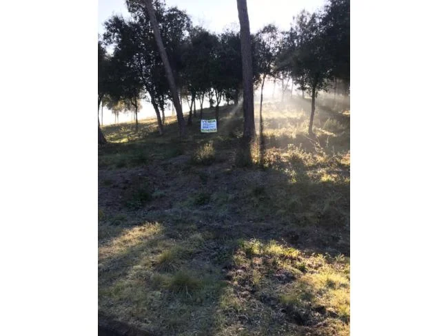 Parcela soleada y llana en Casa Nova