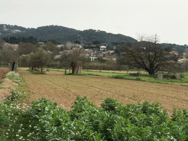 Terreno agrícola en Vilanova, 3.285 m²