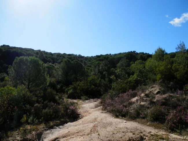 Gran parcela rústica en Vilanova